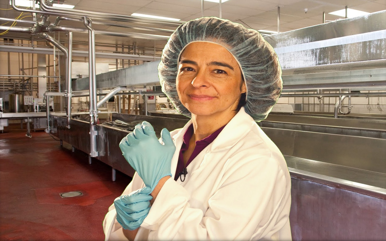 Food-Safety-quality-programs