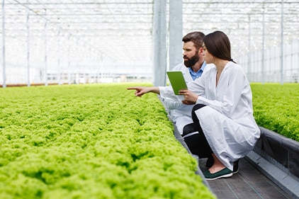 Man and woman crouched examining herbs